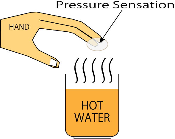 蒸気による圧覚発生要因の検討