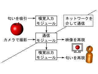 匂いセンサと嗅覚ディスプレイを用いた遠隔匂い・映像再現システムの性能向上