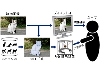 動物画像のためのモデルベース可触化システムの開発 (158)