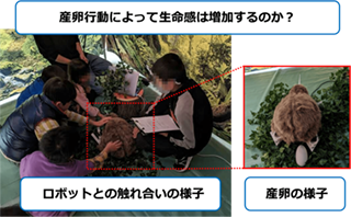 説明画像
