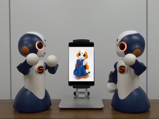 説明画像