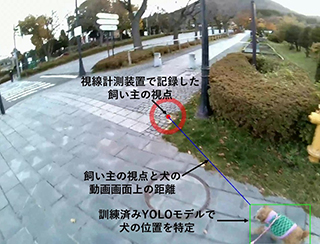 説明画像